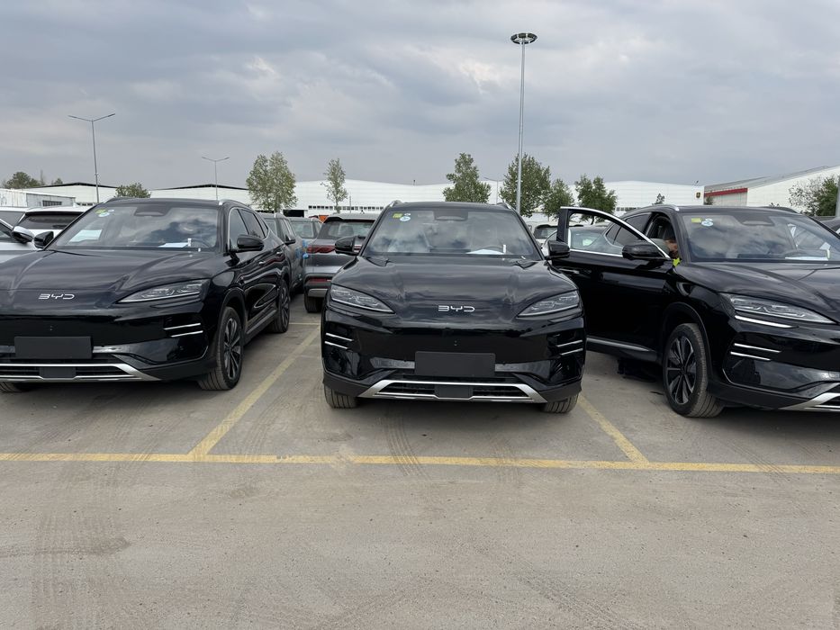 Byd champion smart 2025/2025