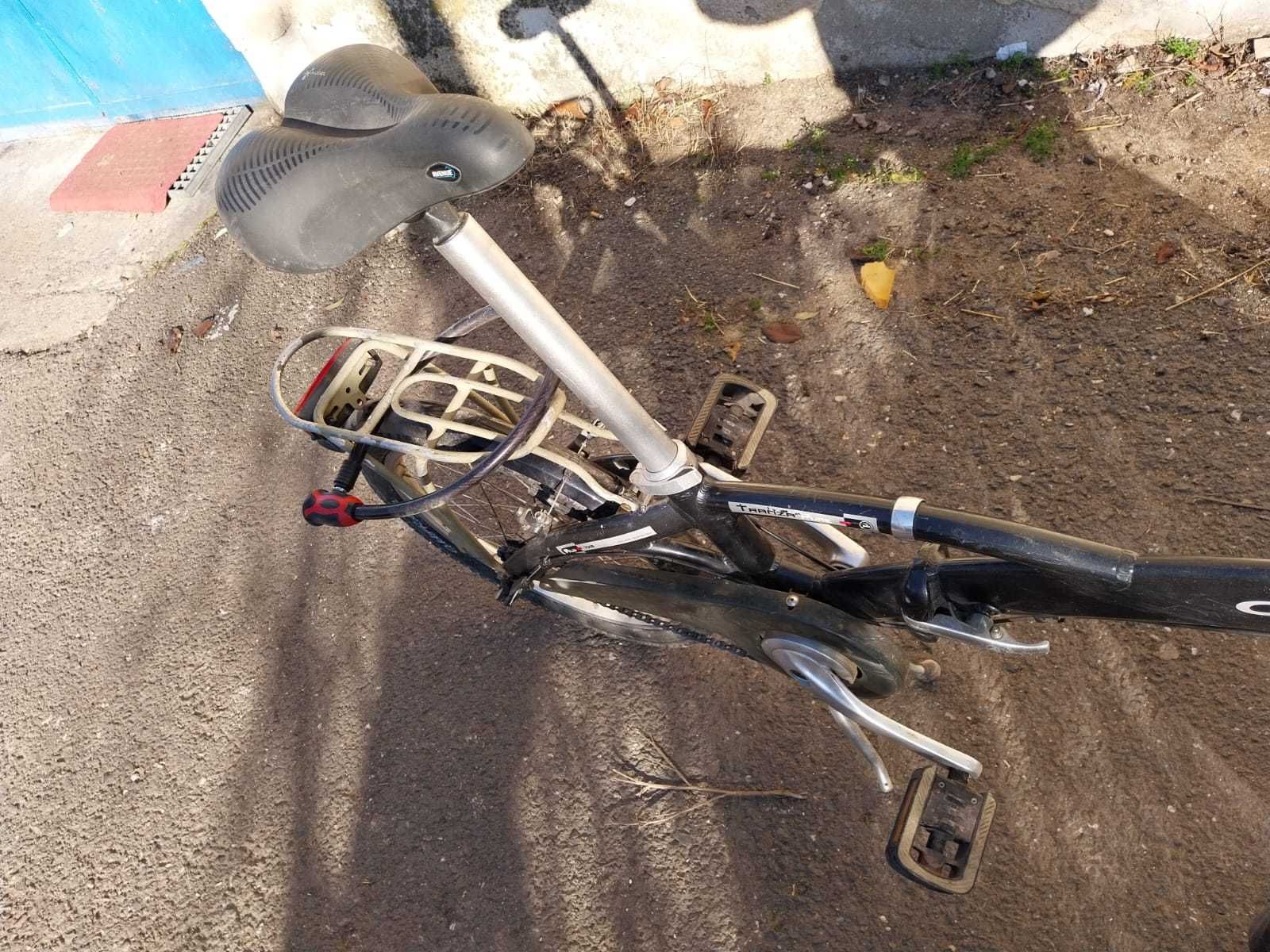 Bicicletă PEGAS adult