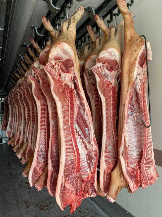 свинина тушевая в розницу и оптом с доставкой