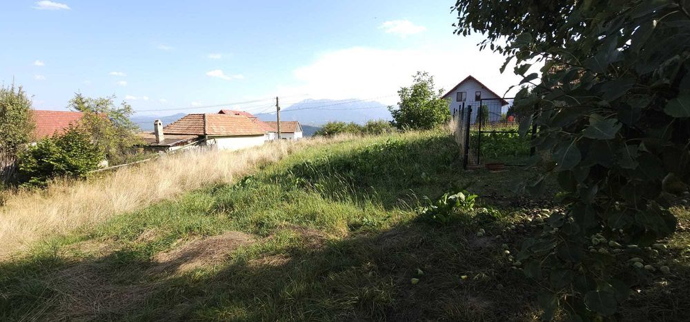 Teren Zarnesti (zona Pleasa), PUZ, 26 euro mp