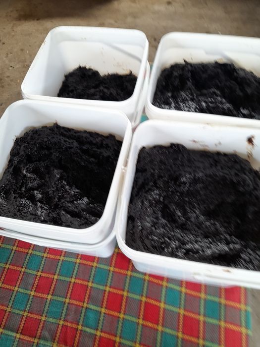 Vand magiun de prune