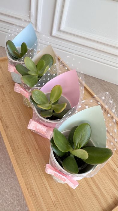 Тойбастар, учителю на 1 сентября