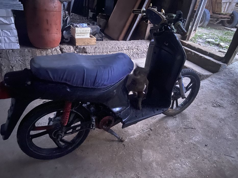 vand scuter honda sh 50