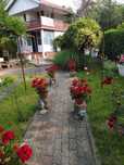 CASA de vanzare 3 Insule, Arad - Direct de la PRIVAT