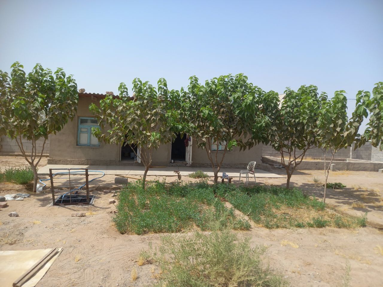 Surxondaryo viloyati Jarqo‘rg‘on tumani Qo‘shtepa mahallasi.