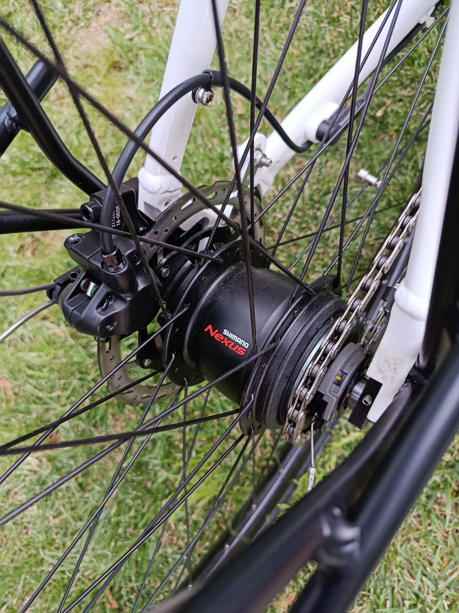 Pegasus Ancura E8R Disc 28