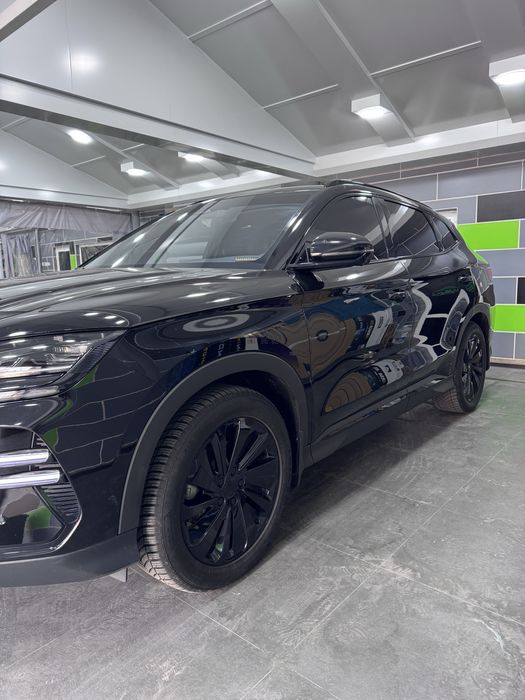 Byd Champion 605км