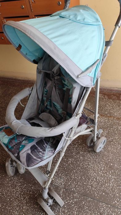 Carucior Lionelo