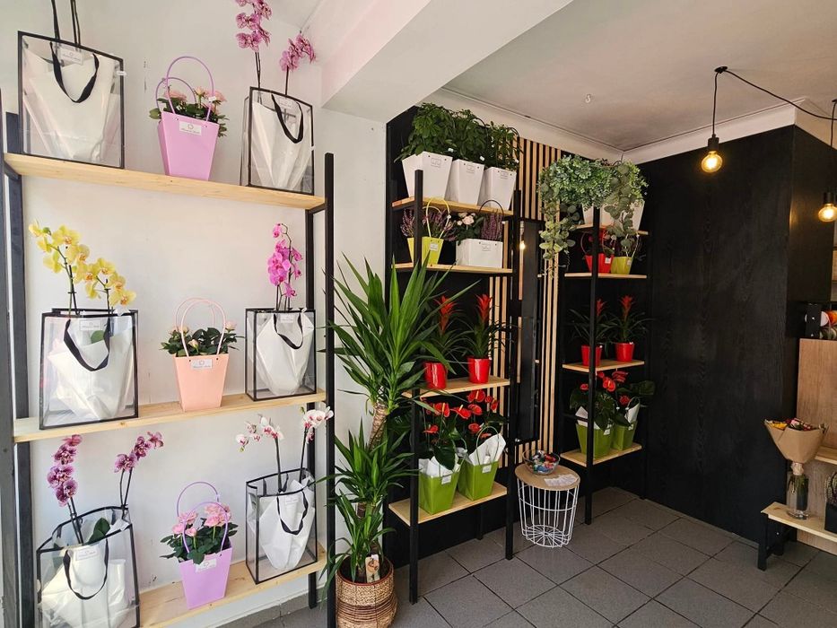 Vand afacere la cheie locație Cavnic, jud. MM