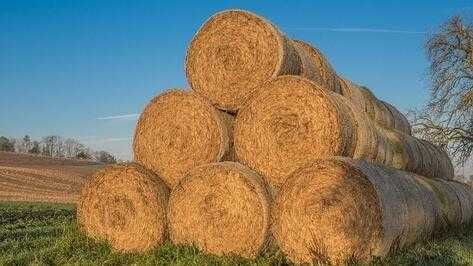 Продавам рулонни бали слама и люцерна