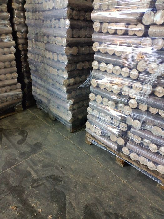 Brichete rumeguș fag!