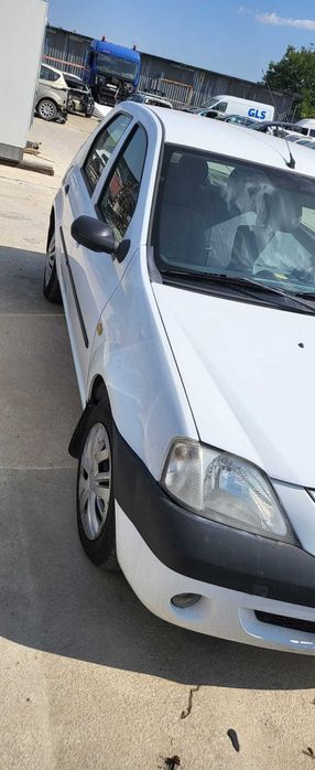 Usi dreapta spate Dacia Logan 2005 cod.011A