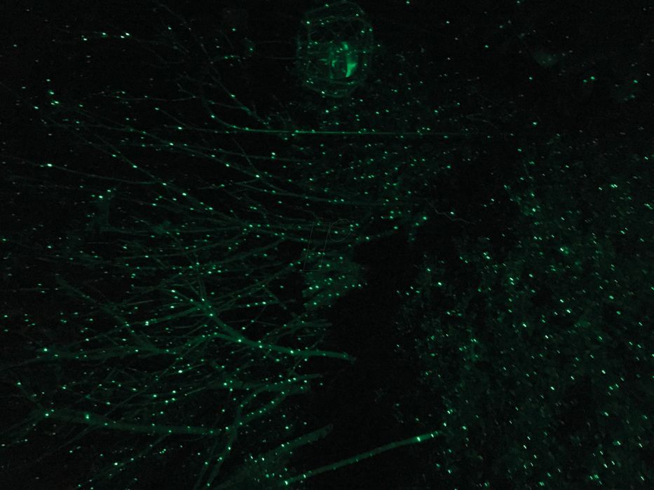 многоточков зелен лазер, градинска декорация, Luхula