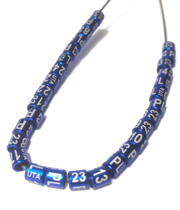 Inele canari, pasari exotice si papagali 2023 albastre