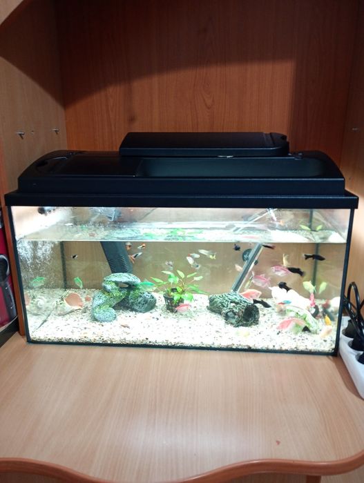 Acvariu cu pești 60 l complet