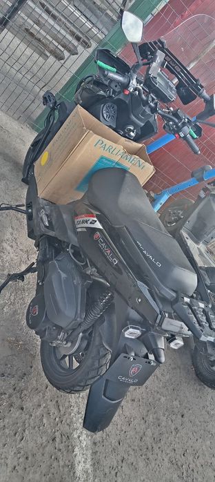 Tank cavalo skuter xech narsa qilmagan narxini yana kelishtiramiza