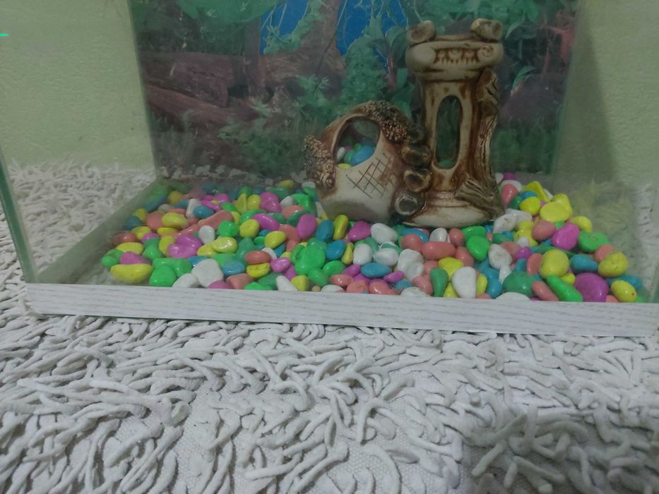 Продается аквариум. (Б/У]