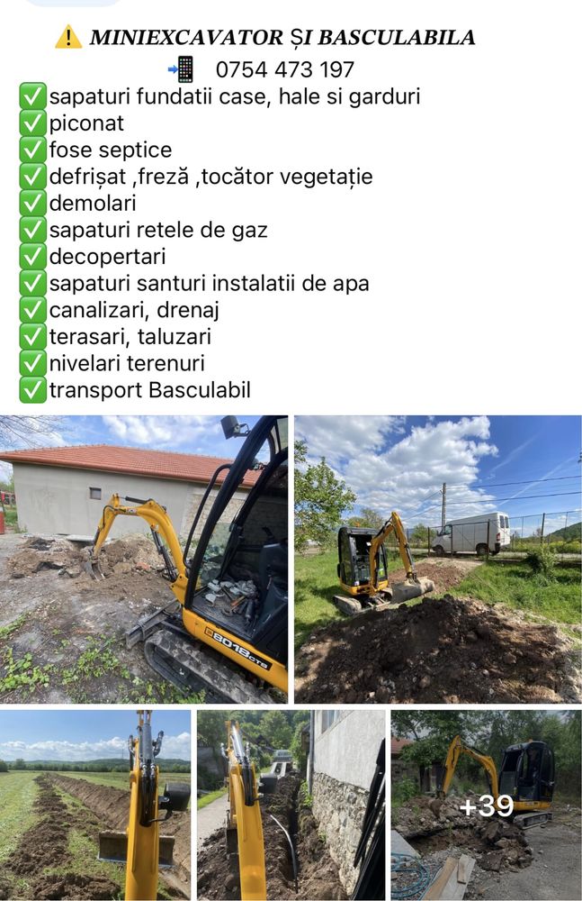 Inchirez Miniexcavator si Basculabila Piconat Sapat Nivelat Transport