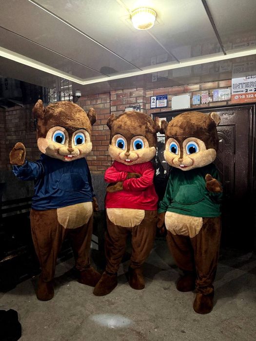 Arenda prakat animator beramz va foto video xizmatlari