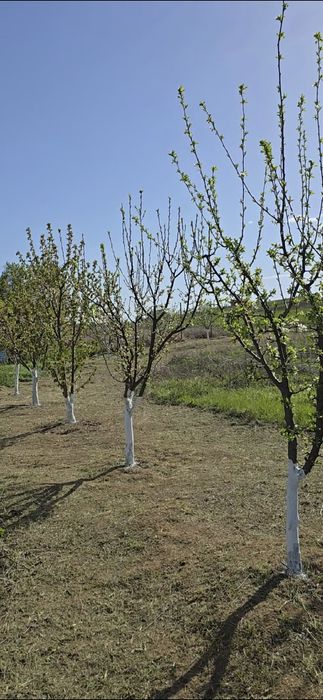 Vand teren intravilan zona Bucium