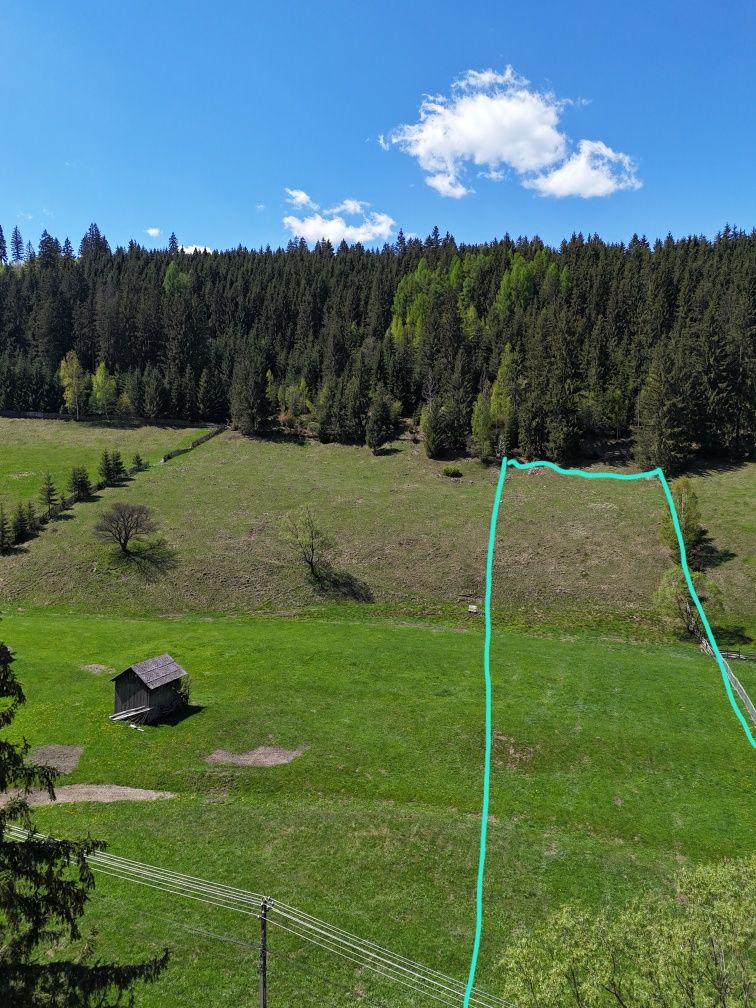 Teren de vanzare in Bucovina zona Pojorata pe Transrarau