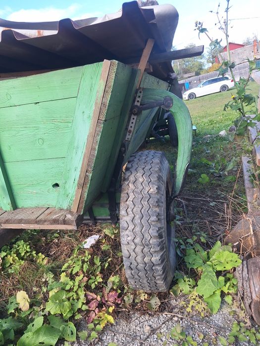 Căruță de cai si doua hamuri