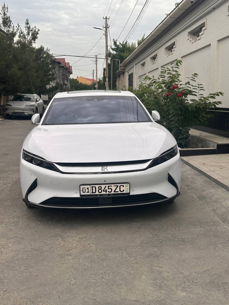 Byd han 715 тоза 47000 юрган