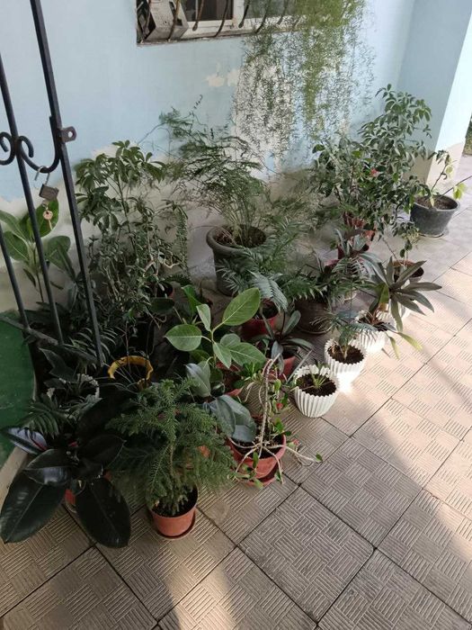 Продам шкаф, диван, кресло и прочую мебель.