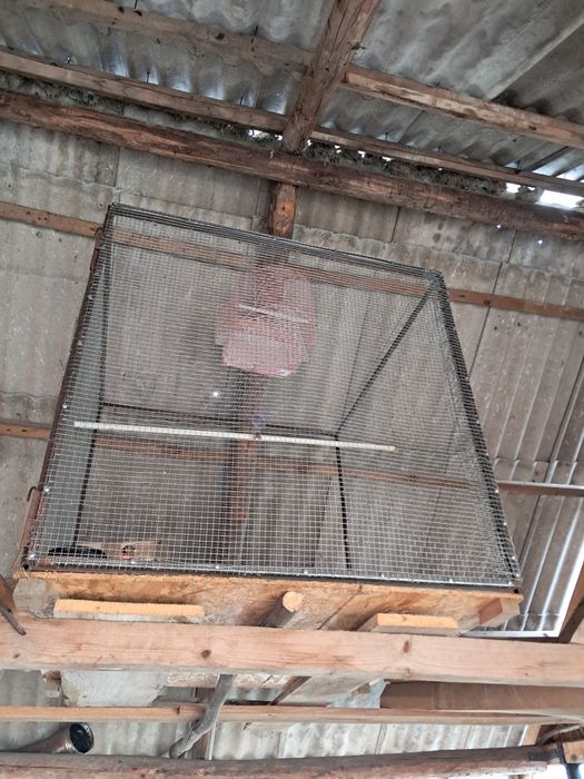 Colivie păsări peruș etc