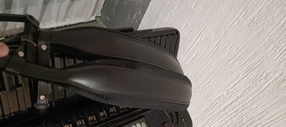 Acordeon cu Juzy midi  musictech