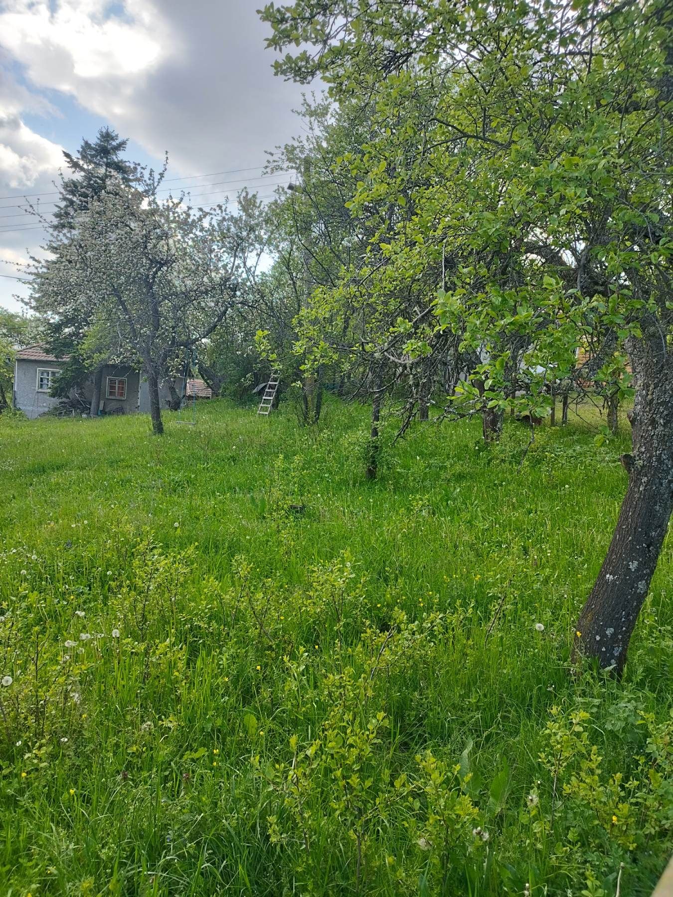 Къща в с. Лесков дол