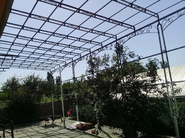 Issiqxona tom naves hizmat