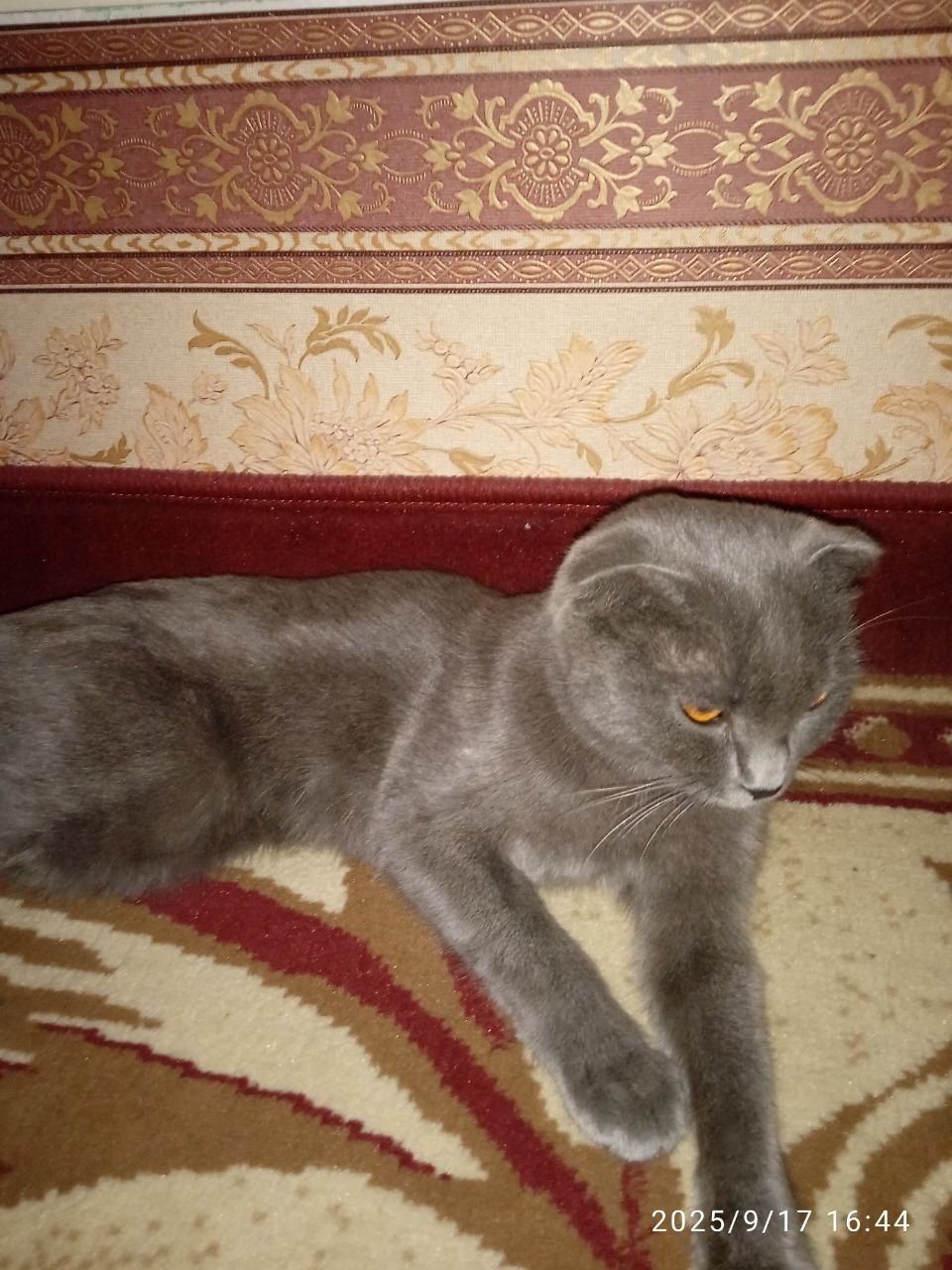 Mushugimga 100%javob beraman