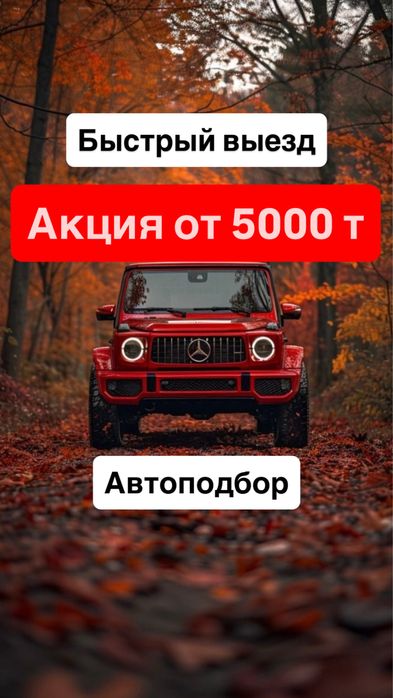 Автоподбор Компьютерная Диагностика Толщиномер Дымогенератор Автоэкспе