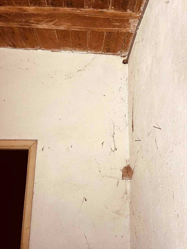 Продава се Къща в с. Шипково, Област Ловеч - 128 кв.м за 175 €/кв.м - Снимка #8