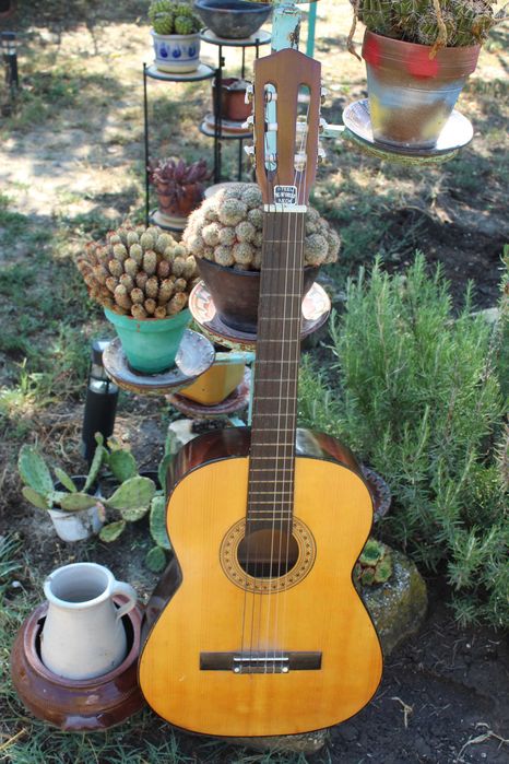 Акустична китара