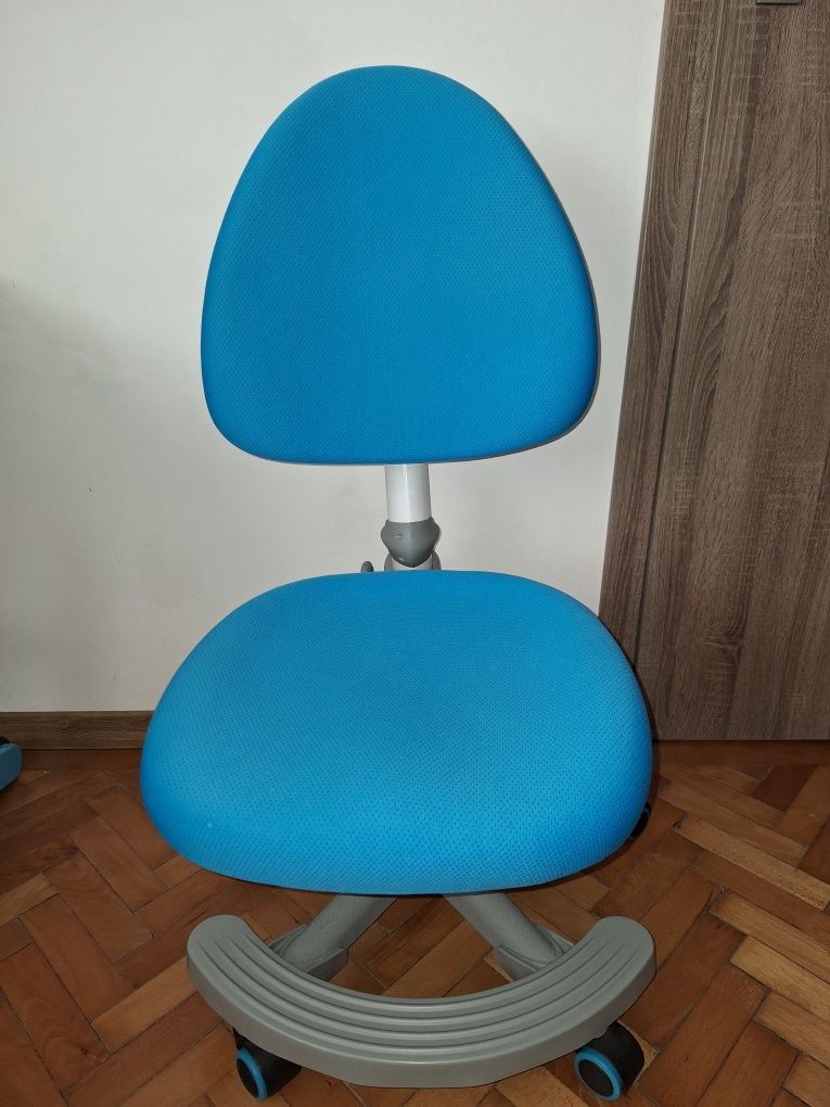 Scaun de Studiu Ergonomic