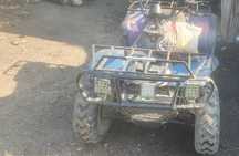 Faci schimb, atv linhai worker 300