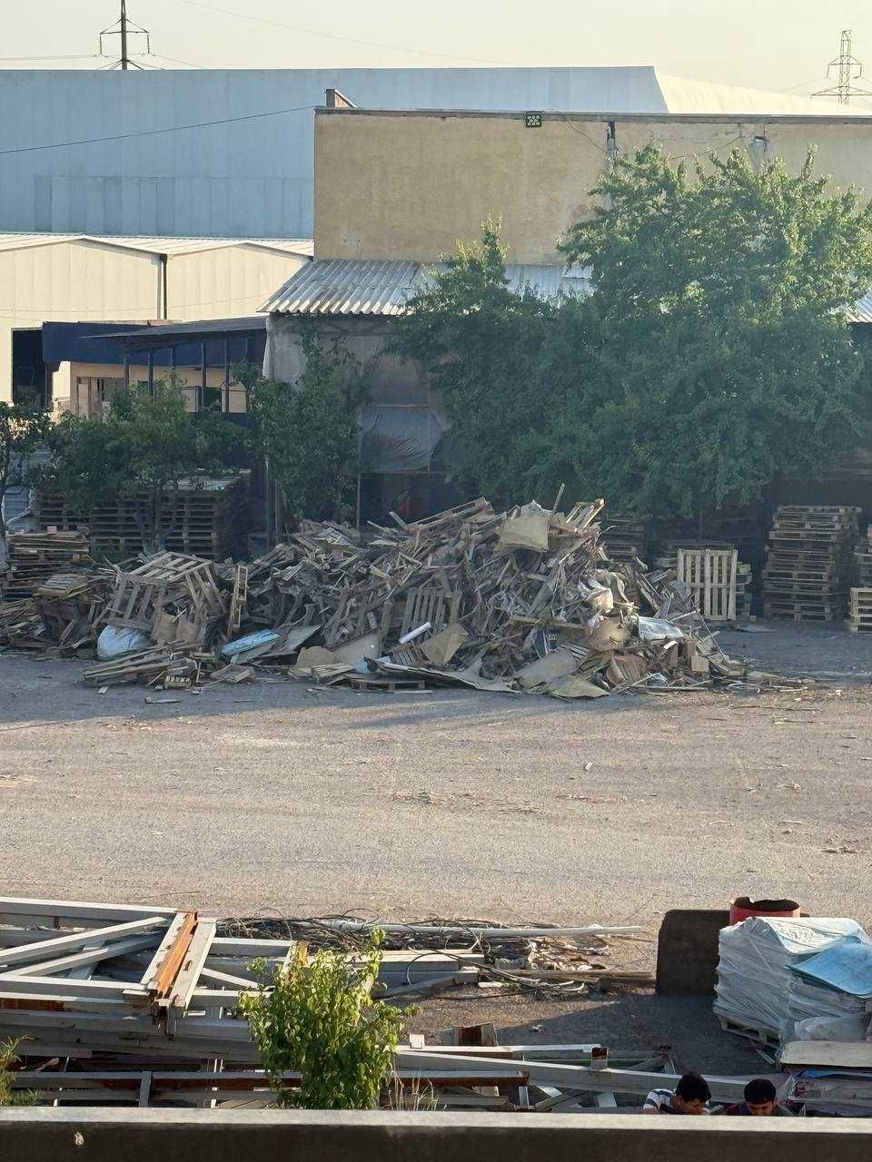 O'tin sotiladi paddondan chiqgan Algoritam bor