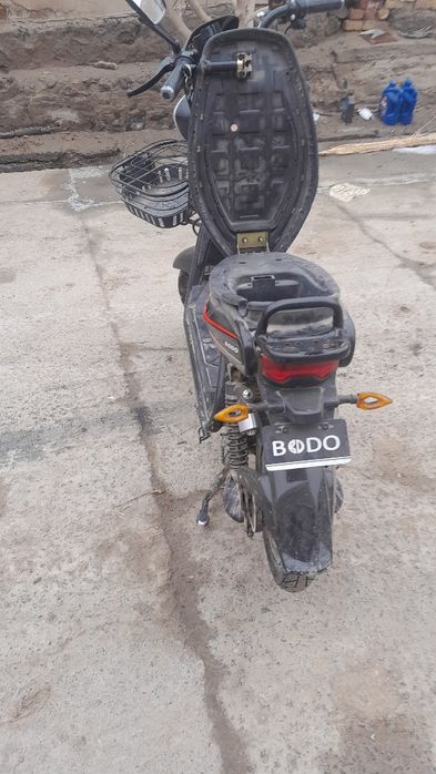 Yangi va arzon squter