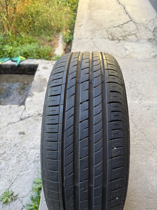 Баллон Roadstone с отбойником