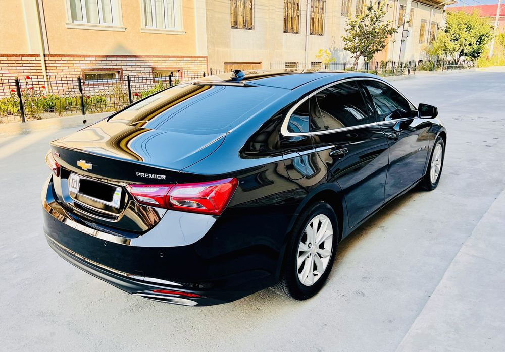 Malibu 2  premier Kraska Tozza 100%