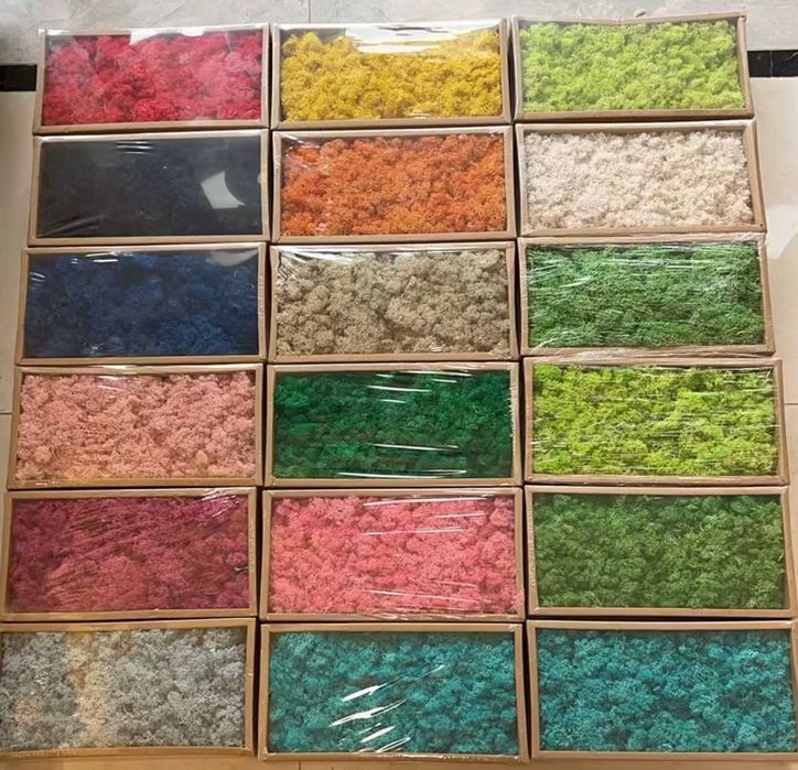 Пано от скандинавски мъх , картини скандинавски зелен мъх , декорация