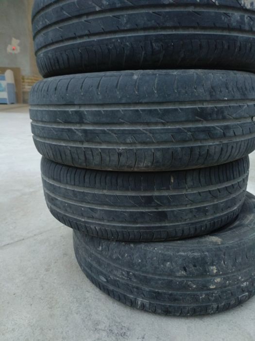 Kobalt 15 radnoy balon continental