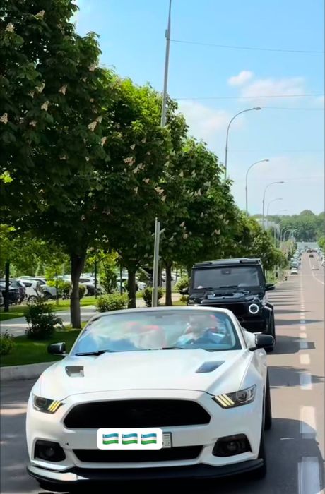 Kabriolet (Ford mustang) Rent car , Arenda