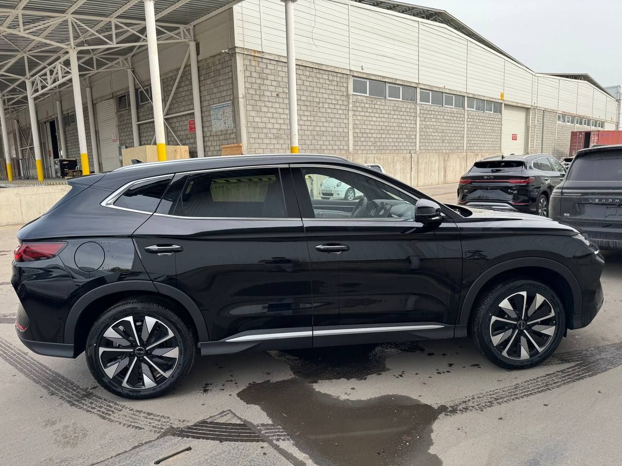 BYD chempion smart ev