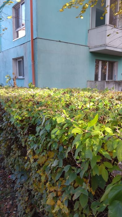 Apartament de închiriat 2 camere