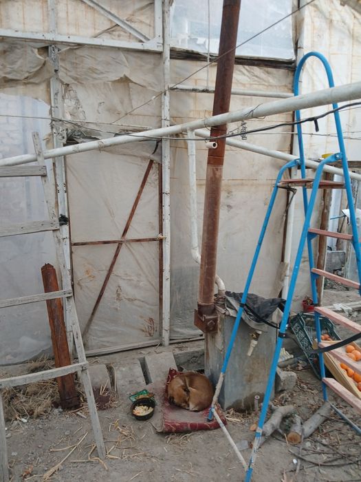 Теплица 8×20 Фаргонада.