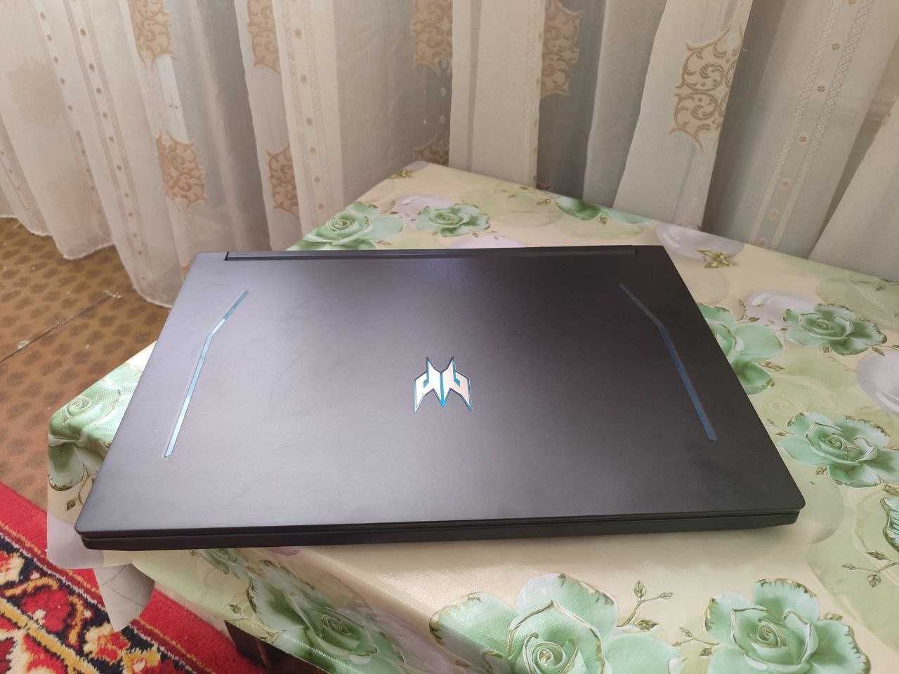 Игровой ноутбук Acer Predator Helios 300 PH317
