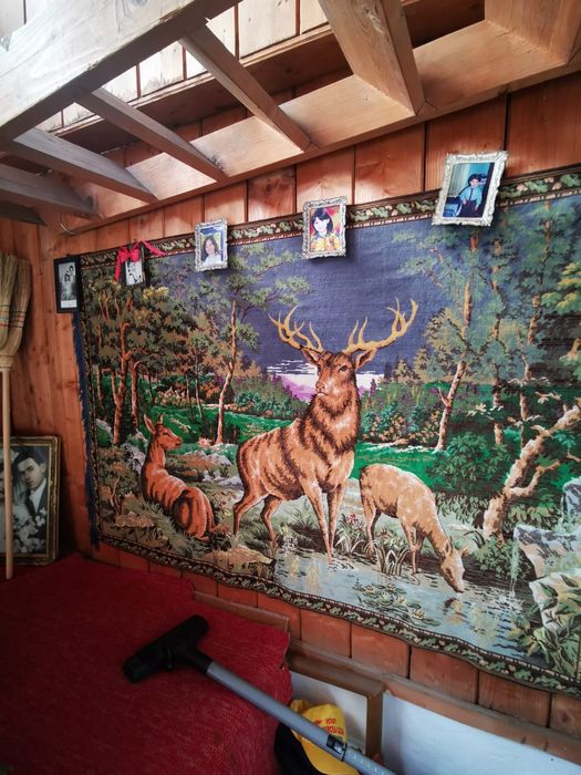 Carpete perete Vintage diverse modele